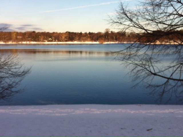 Jamaica Pond